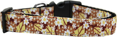 

Mirage Pet Products Dog Everyday Collar(, Multicolor