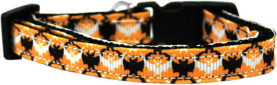

Mirage Pet Products Dog & Cat Everyday Collar(, Multicolor