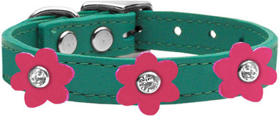 

Mirage Pet Products Dog Everyday Collar(, Blue