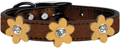 

Mirage Pet Products Dog Everyday Collar(, Brown