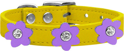

Mirage Pet Products Dog Everyday Collar(, Yellow