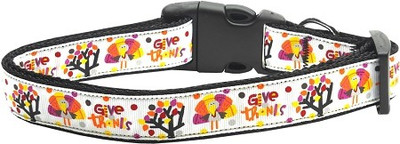

Mirage Pet Products Dog Everyday Collar(, Multicolor
