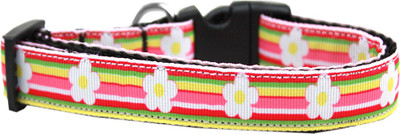 

Mirage Pet Products Dog Everyday Collar(, Multicolor