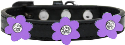 

Mirage Pet Products Dog Everyday Collar(, Black