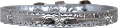 

Mirage Pet Products Dog Everyday Collar(, Silver
