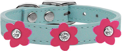 

Mirage Pet Products Dog Everyday Collar(, Blue