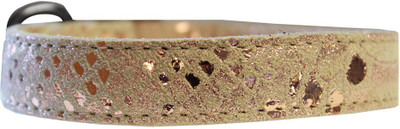 

Mirage Pet Products Dog Everyday Collar(, Multicolor