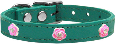 

Mirage Pet Products Dog Everyday Collar(, Blue