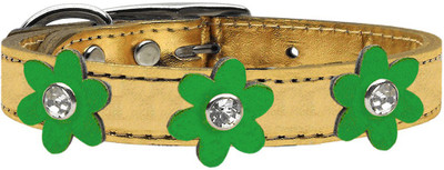 

Mirage Pet Products Dog Everyday Collar(, Gold