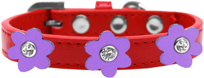 

Mirage Pet Products Dog Everyday Collar(, Red
