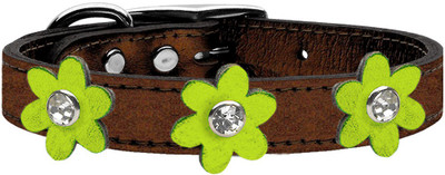 

Mirage Pet Products Dog Everyday Collar(, Brown
