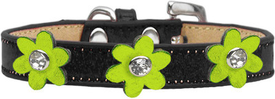 

Mirage Pet Products Dog Everyday Collar(, Black