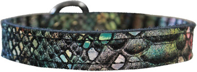 

Mirage Pet Products Dog Everyday Collar(, Multicolor
