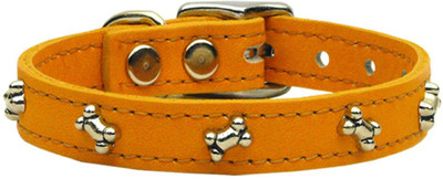 

Mirage Pet Products Dog Everyday Collar(, Orange