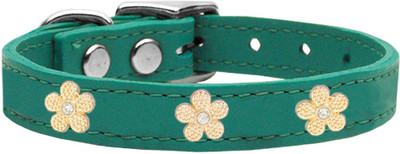 

Mirage Pet Products Dog Everyday Collar(, Blue