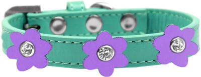 

Mirage Pet Products Dog Everyday Collar(, Blue