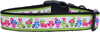 

Mirage Pet Products Dog Everyday Collar(, Multicolor