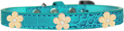 

Mirage Pet Products Dog Everyday Collar(, Blue