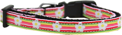 

Mirage Pet Products Dog Everyday Collar(, Multicolor