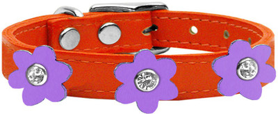 

Mirage Pet Products Dog Everyday Collar(, Orange