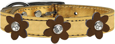 

Mirage Pet Products Dog Everyday Collar(, Gold