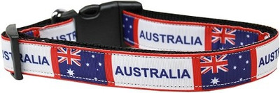 

Mirage Pet Products Dog Everyday Collar(, Multicolor
