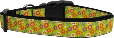 

Mirage Pet Products Dog Everyday Collar(, Multicolor