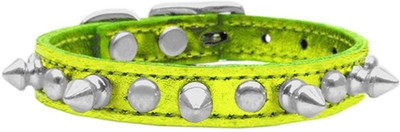 

Mirage Pet Products Dog Everyday Collar(, Green