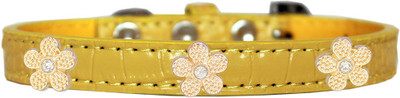 Mirage Pet Products Dog Everyday Collar(, Yellow