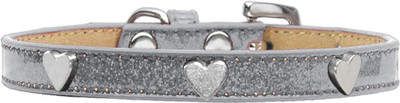 

Mirage Pet Products Dog Everyday Collar(, Silver