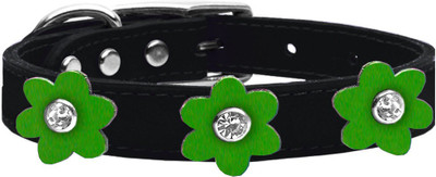 

Mirage Pet Products Dog Everyday Collar(, Black