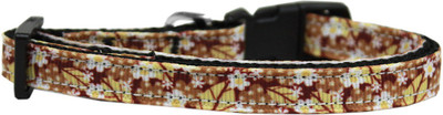 

Mirage Pet Products Dog Everyday Collar(, Multicolor