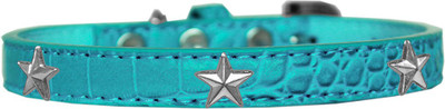 

Mirage Pet Products Dog Everyday Collar(, Blue