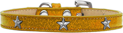 

Mirage Pet Products Dog Everyday Collar(, Gold