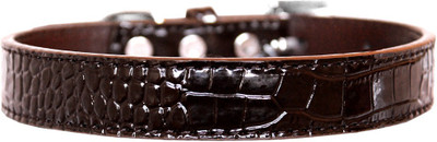 

Mirage Pet Products Dog Everyday Collar(, Brown