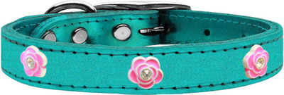 

Mirage Pet Products Dog Everyday Collar(, Blue