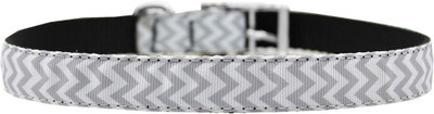 

Mirage Pet Products Dog Everyday Collar(, Multicolor