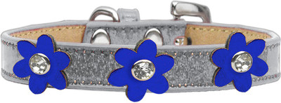 

Mirage Pet Products Dog Everyday Collar(, Silver