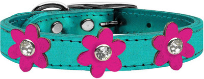 

Mirage Pet Products Dog Everyday Collar(, Blue