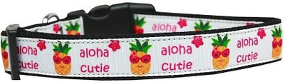 

Mirage Pet Products Dog Everyday Collar(, Multicolor