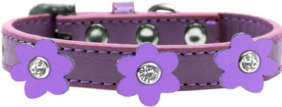 

Mirage Pet Products Dog Everyday Collar(, Purple