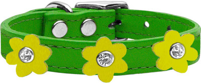 

Mirage Pet Products Dog Everyday Collar(, Green