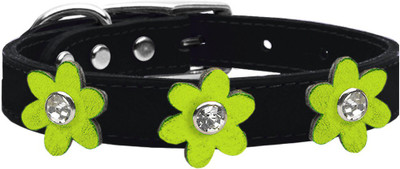 

Mirage Pet Products Dog Everyday Collar(, Black