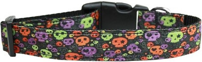 

Mirage Pet Products Dog Everyday Collar(, Multicolor