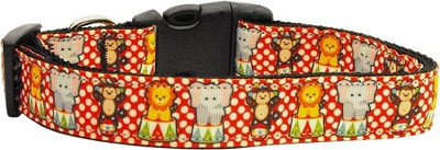 

Mirage Pet Products Dog Everyday Collar(, Multicolor