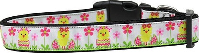 

Mirage Pet Products Dog Everyday Collar(, Multicolor