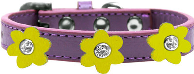 

Mirage Pet Products Dog Everyday Collar(, Purple