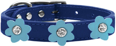 

Mirage Pet Products Dog Everyday Collar(, Blue