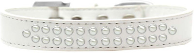 

Mirage Pet Products Dog Everyday Collar(, White