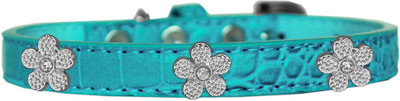 

Mirage Pet Products Dog Everyday Collar(, Blue